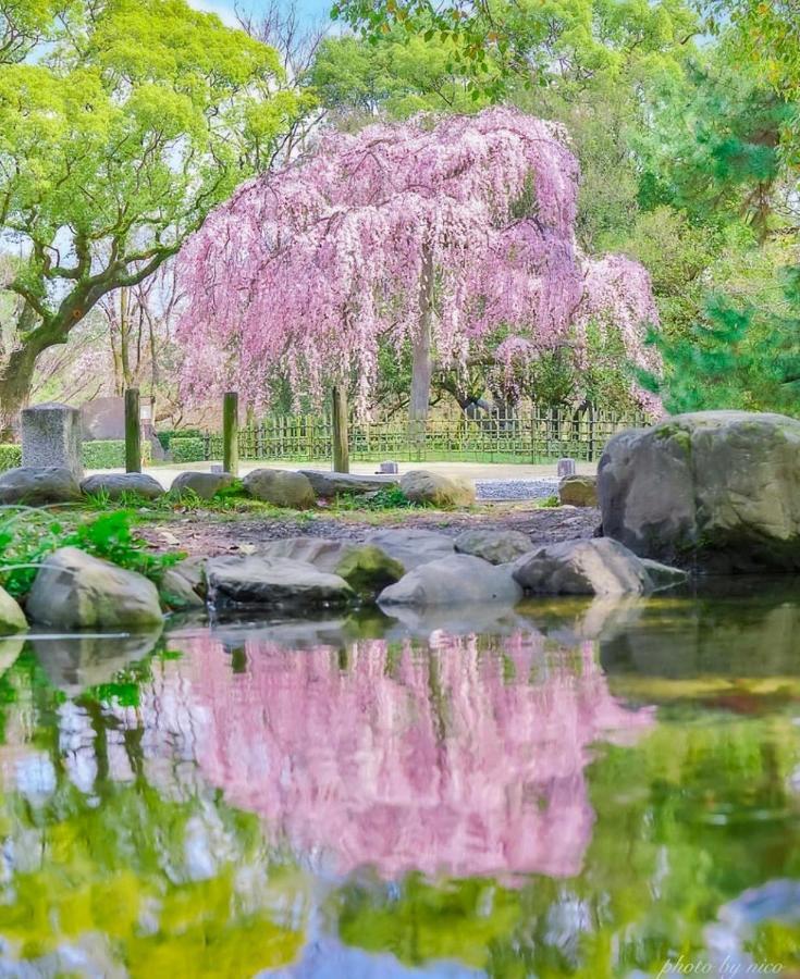 Tsurui Goshonishi 鶴居御所西 Quioto Exterior foto